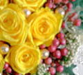 �o���ƃy�b�p�[�x���[�̃v���U�A�����W