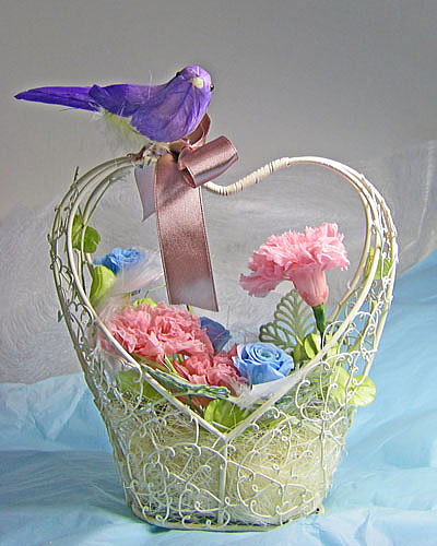 �v���U�[�u�h�A�����W�`BlueBird
