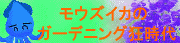 ���E�Y�C�J����