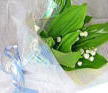 �X�Y�����̉ԑ��`Muguet