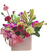 ��̓��̃M�t�g�A�����W�����g�`ThanksMother