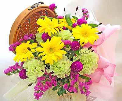 �ۂ��s�N�j�b�N�o�X�P�b�g�̃A�����W�����g