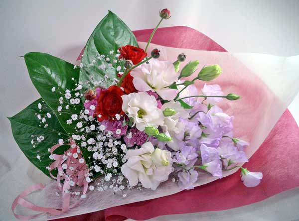 �X�C�[�g�s�[�ƁA���i���L�����X�̃��}���e�B�b�N�ȉԑ�