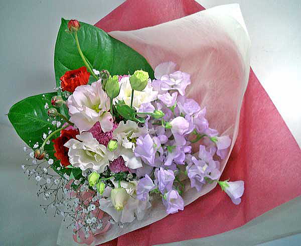 �X�C�[�g�s�[�ƁA���i���L�����X�̃��}���e�B�b�N�ȉԑ�
