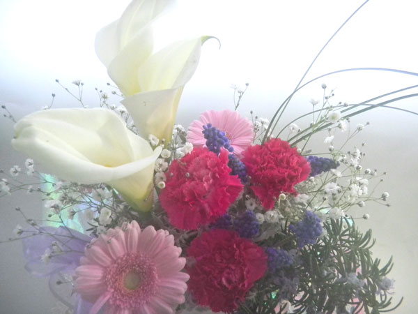 ���[�Y�}���[�ƃJ���[�̃X�E�C���O�A�����W
