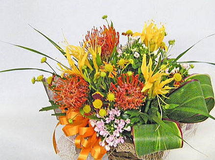 �s���N�b�V�����ƃ��R���X�̃o�X�P�b�g�A�����W