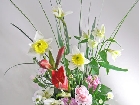 �t�̍���̃t�����[�A�����W